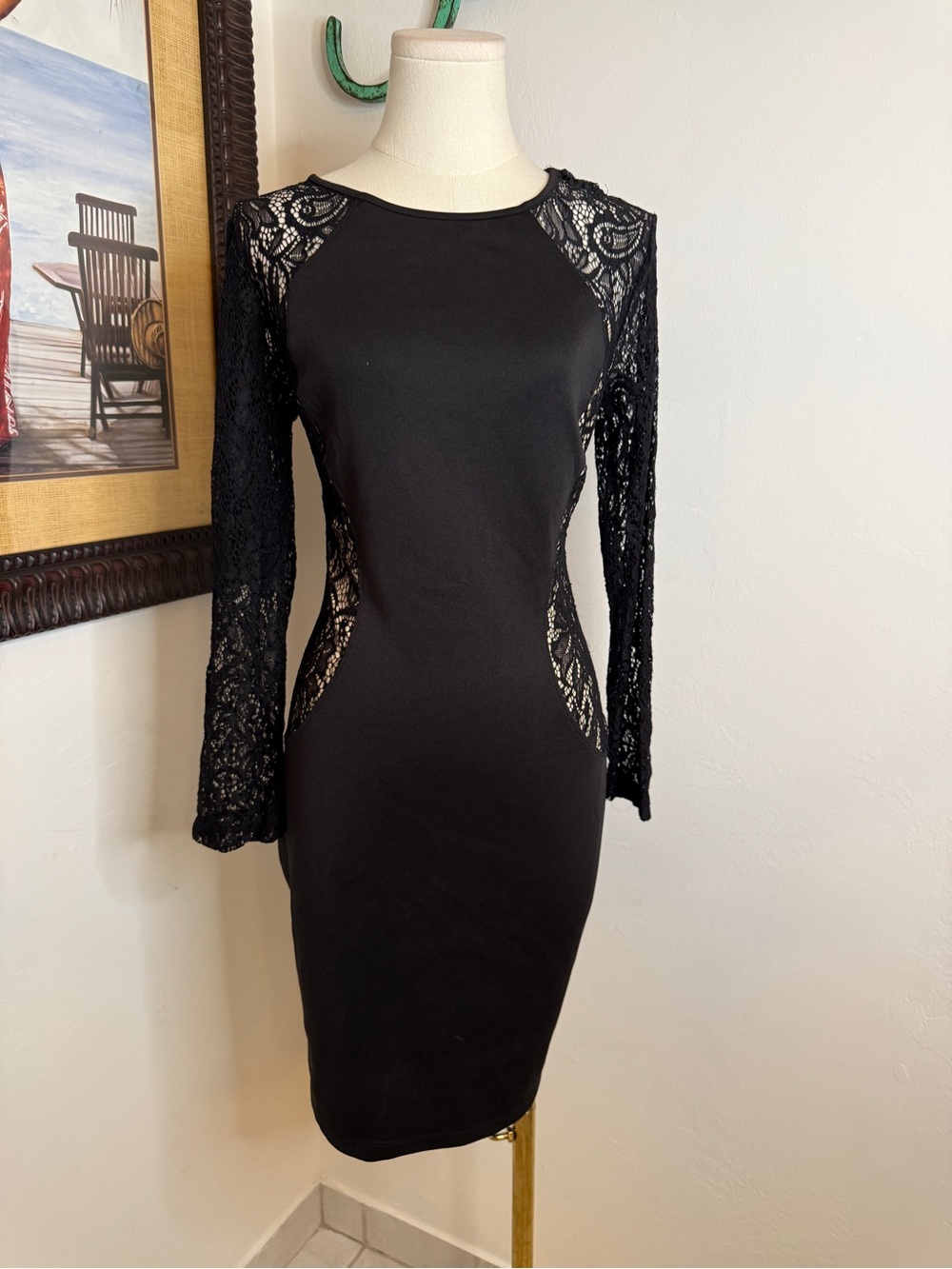 Enfocus Studio Black Lace Panel Long Sleeve Bodycon Dress